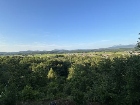 森のゆ花神楽 クーポン