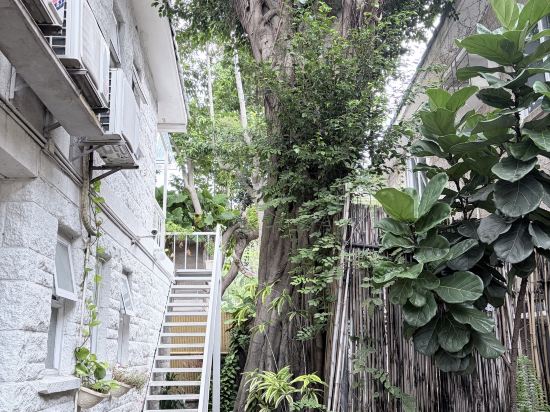 深圳6號花園酒店優惠