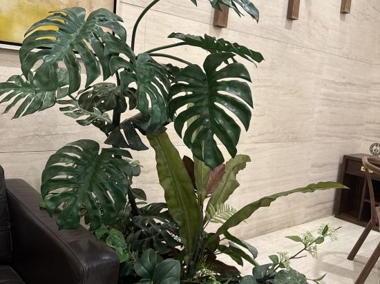 瀋陽盛捷和平服務公寓優惠