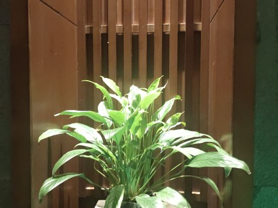 長沙品酒店優惠