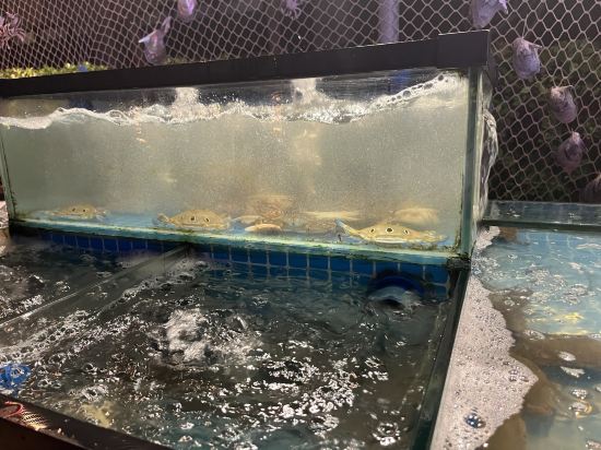 三亞國光豪生度假酒店優惠