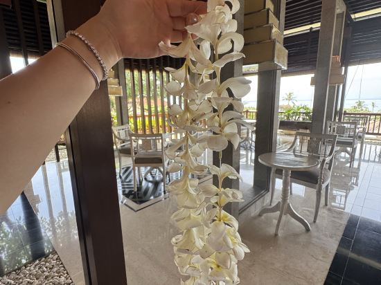 峇里島阿雅娜水療度假酒店優惠