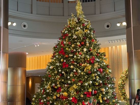 新加坡國敦河畔大酒店優惠