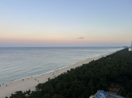 세인트존스 호텔 쿠폰