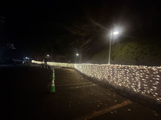 東京新大谷飯店花園塔飯店優惠