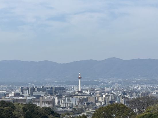 ゲストハウス 百万遍 Cross クーポン