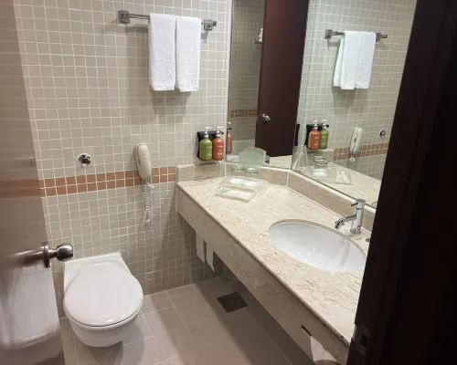 Holiday Inn SINGAPORE ATRIUM by IHG Rooms Photos