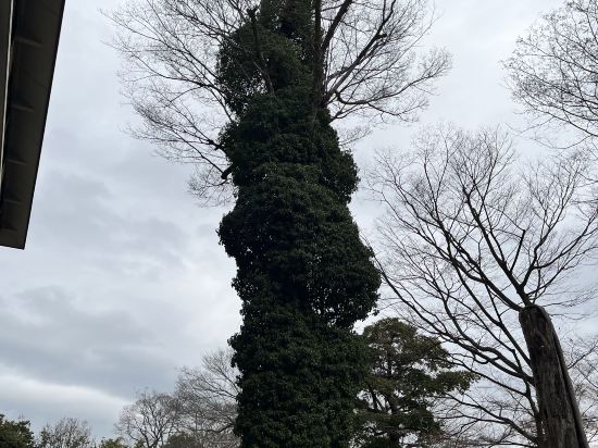 ＫＫＲ京都　くに荘（国家公務員共済組合連合会京都宿泊所） クーポン