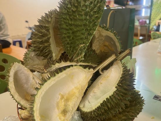 萊恩飯店優惠