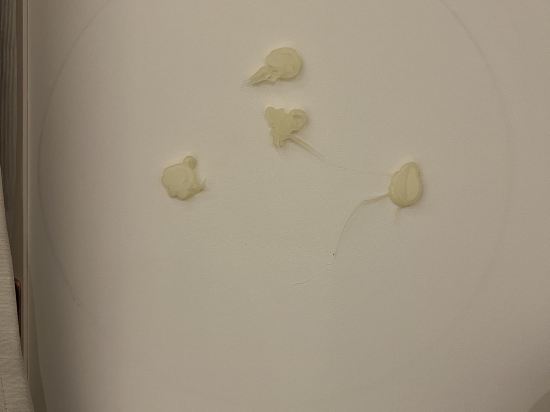 赤阪百夫長住宅酒店優惠