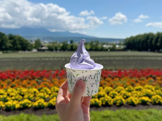 コートホテル旭川 クーポン