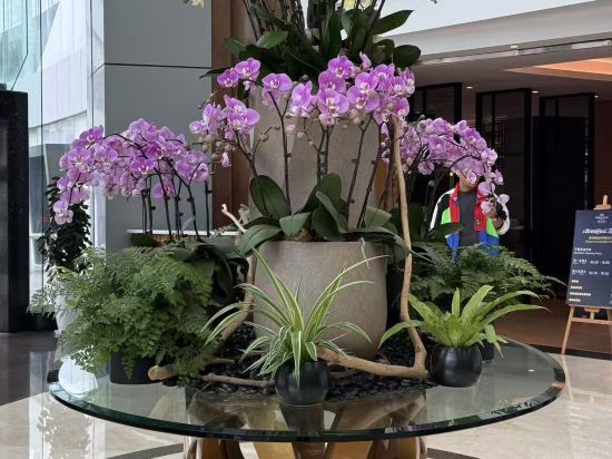 珠海粵財皇冠假日飯店優惠