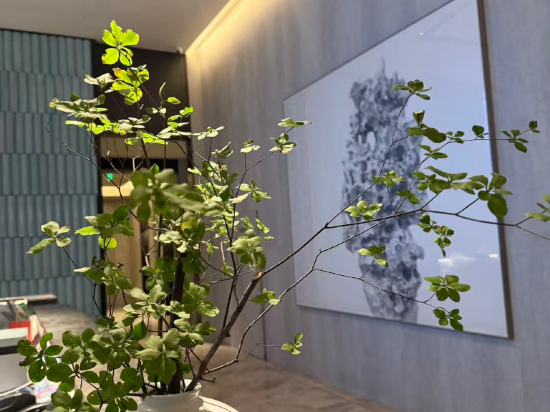 成都高新禧玥飯店優惠