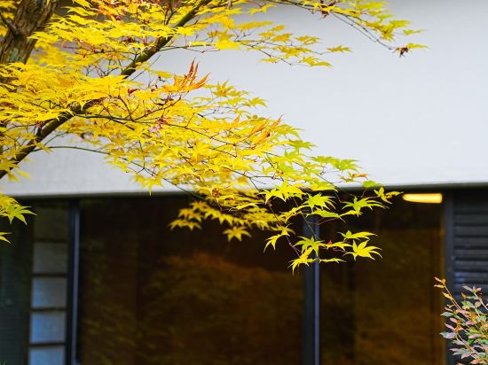 大正屋日式旅館優惠