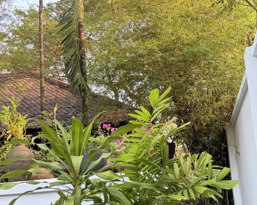 Pavillon Indochine Boutique - Hotel بالقرب من الفندق Photos