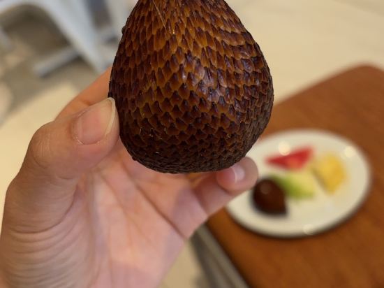 巴魯納智選假日酒店優惠
