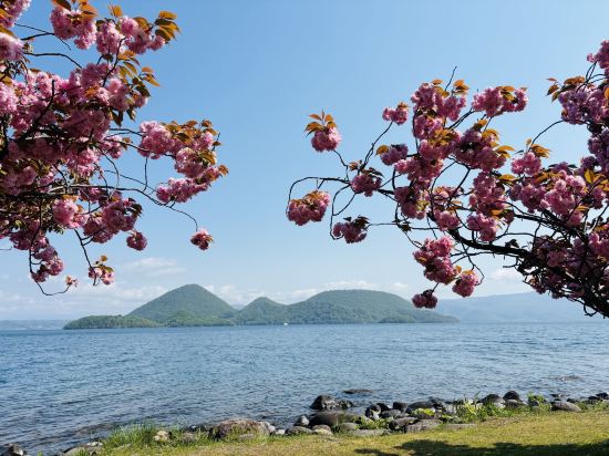 洞爺サンパレス リゾート＆スパ クーポン