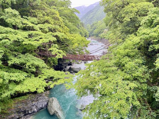 峡谷の湯宿 大歩危峡まんなか クーポン