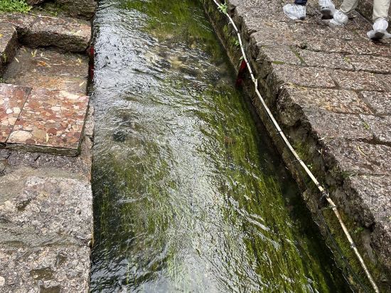 花築奢·麗江古城沁湖軒湖景花園客棧優惠