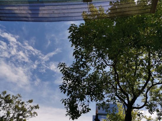 曼陀倫璞月飯店（深圳筍崗藝展中心店）優惠