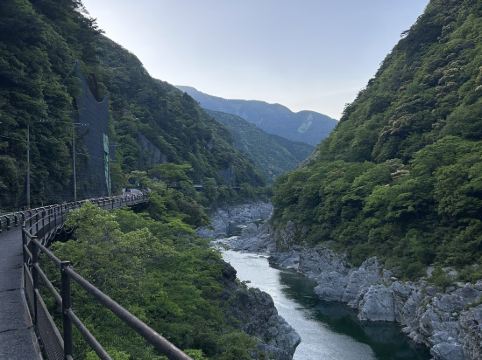 サンリバー大歩危 クーポン