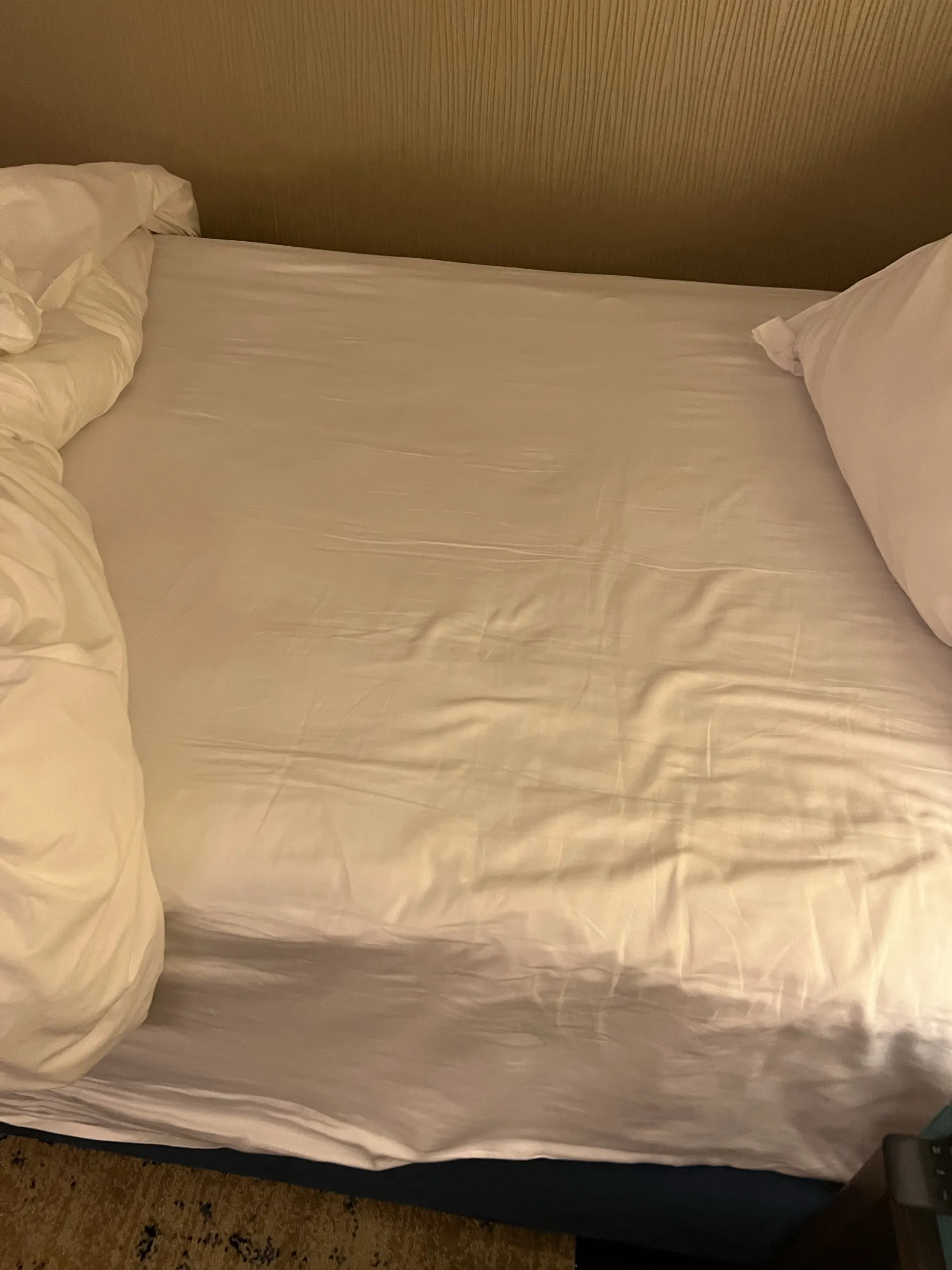 The St. Regis New Capital, Cairo Номера Photos