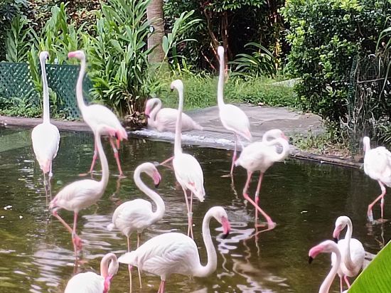 香港KK賓館優惠