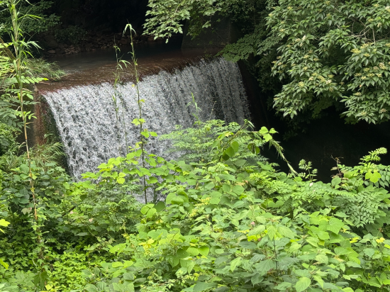 緑と渓流に抱かれた美肌温泉の宿　霧島温泉静流荘 クーポン