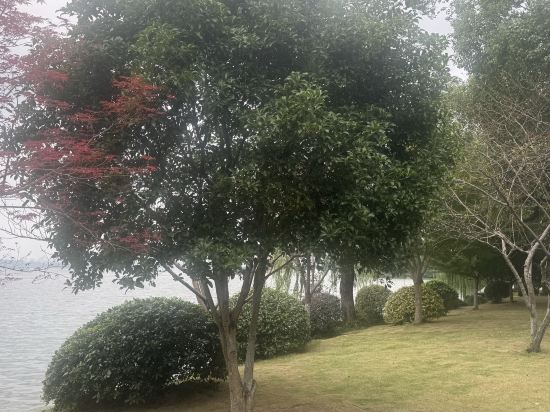 浙江西子賓館·汪莊·西湖名園優惠