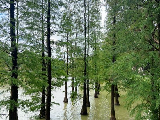麗呈朗譽酒店（肇慶七星巖景區店）優惠