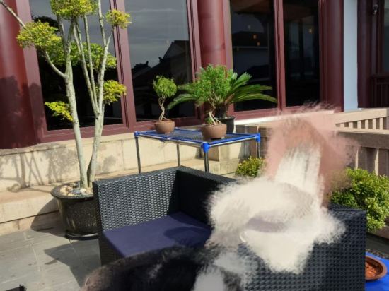 蘇州吳宮泛太平洋飯店優惠