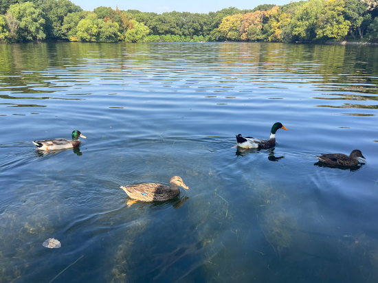 上海西郊賓館優惠