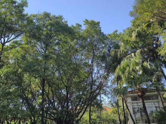 橋頭三正半山飯店優惠