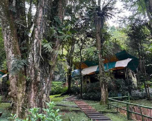 Safari Resort بالقرب من الفندق Photos