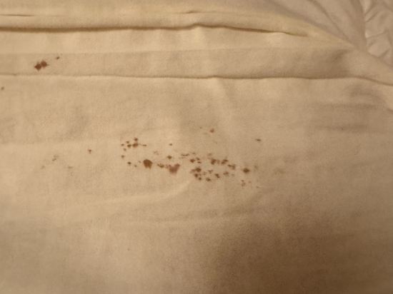 くれたけイン プレミアム浜松町 クーポン