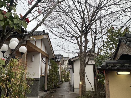 古都の花心 クーポン