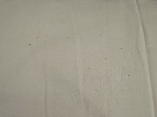 호텔 마누 쿠폰