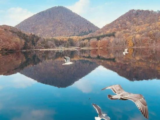 洞爺湖畔亭飯店優惠