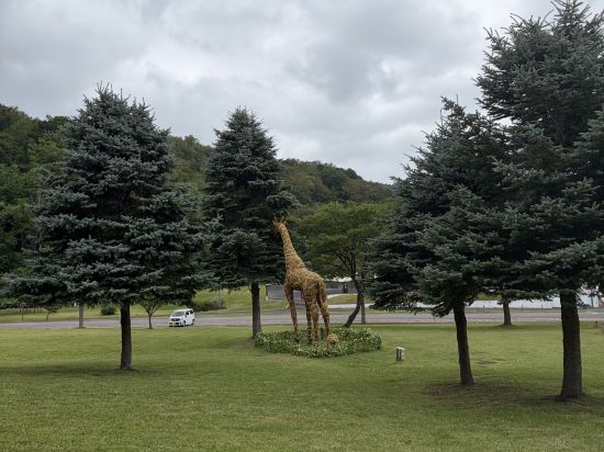 グリーンピア大沼 クーポン