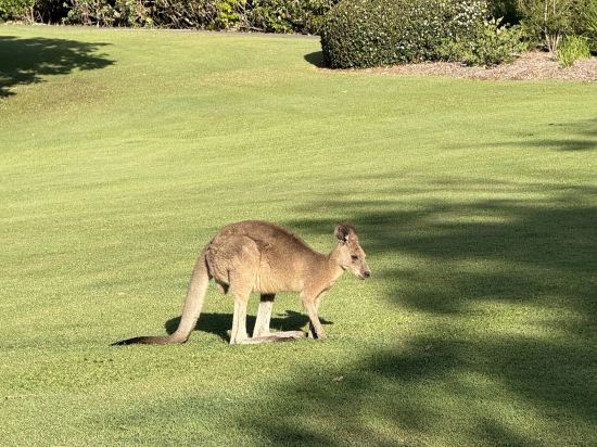 陽光海岸諾富特度假酒店優惠