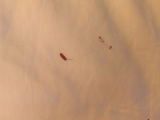 銅鑼灣如心酒店優惠