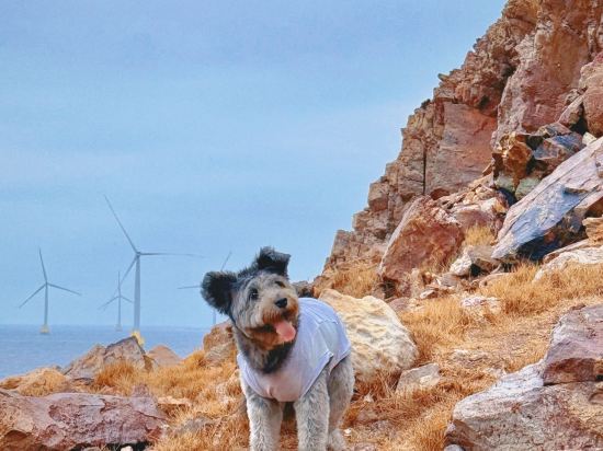 福州倉山希爾頓惠庭飯店優惠