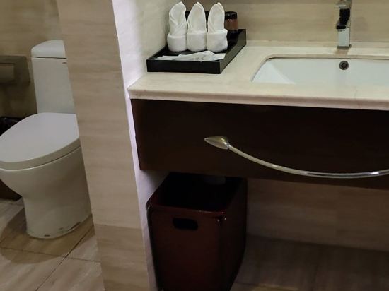 龍凈廈門飯店（高崎國際機場店）優惠