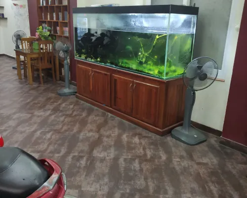 Sunny A Hotel الأماكن العامة Photos