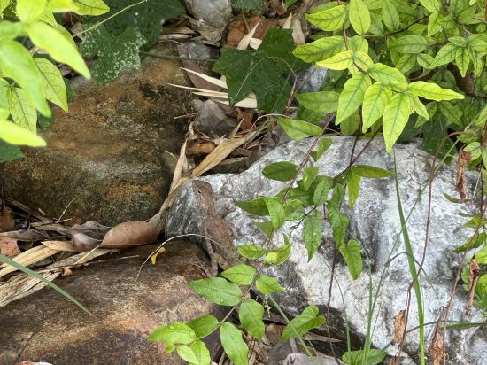 USABAI河畔精品酒店優惠