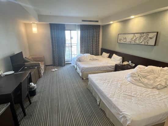 嘉義耐斯王子大飯店優惠