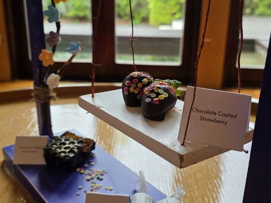 蘇梅島W飯店優惠