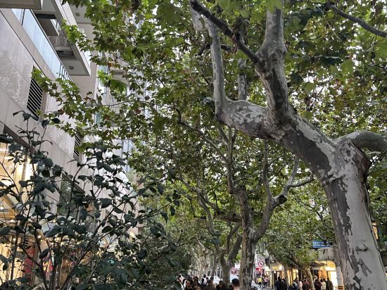 上海屏嵐閣飯店（浦東大道地鐵站店）優惠