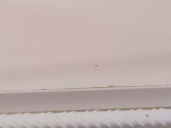 梅斯特森特里酒店優惠