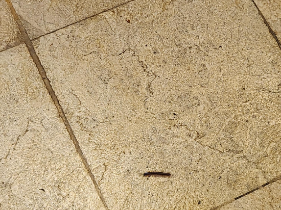 諾偉司吉里度假酒店及水療中心優惠